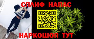 прущие грибы Пушкино