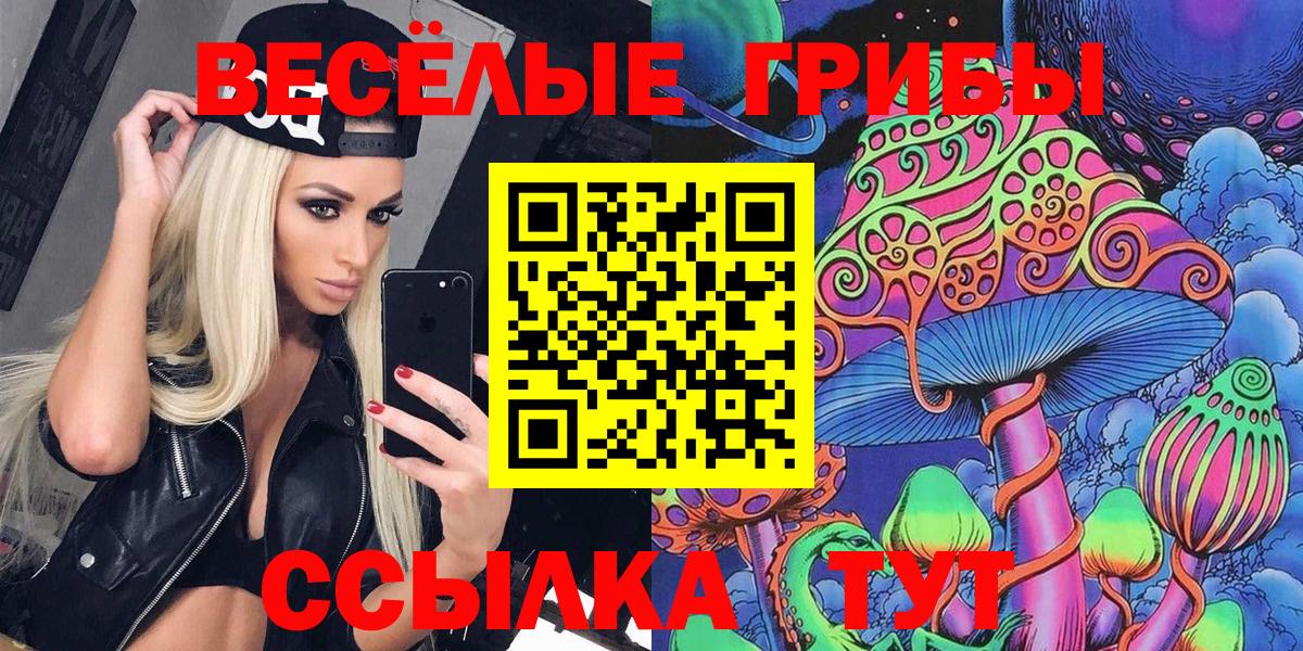 Саянск  Галлюциногенные грибы Cubensis  Галлюциногенные грибы мухоморы  Вход с VPN 
